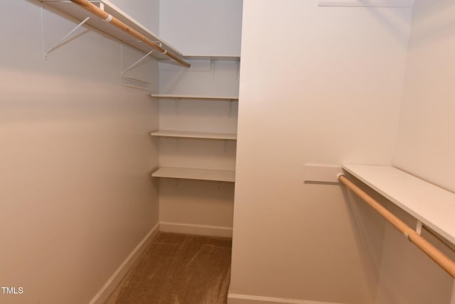 3209 Leebrook Rd, Raleigh, NC 27616 - spacious closet with carpet