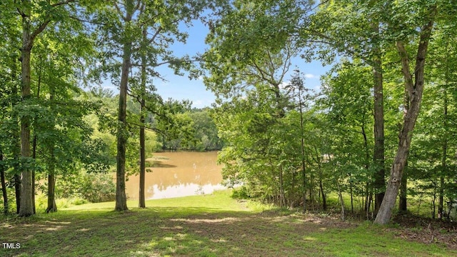 309 Paulas Ln, Semora, NC 27343 - photo 28