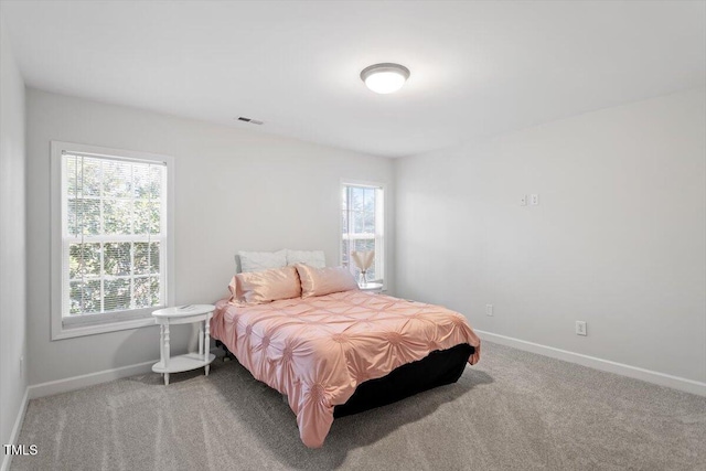 3921 Robins Nest Ln, Wake Forest, NC 27587 - bedroom with carpet floors