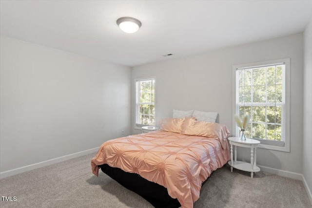 3921 Robins Nest Ln, Wake Forest, NC 27587 - bedroom featuring carpet floors
