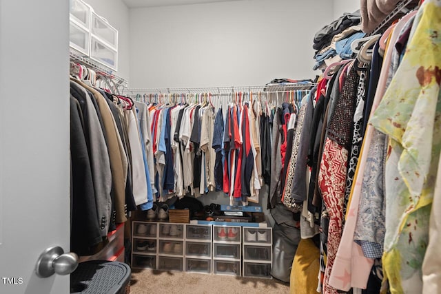 2730 Spring Valley Dr, Creedmoor, NC 27522 - walk in closet with carpet