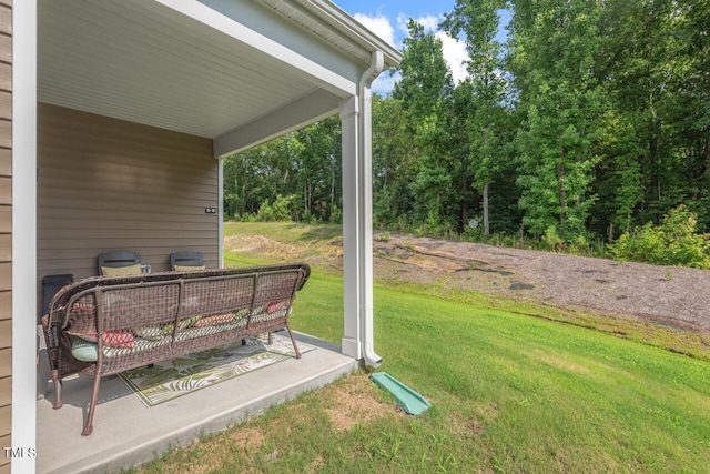 2730 Spring Valley Dr, Creedmoor, NC 27522 - view of green lawn