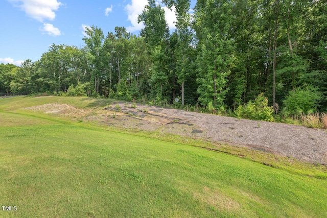 2730 Spring Valley Dr, Creedmoor, NC 27522 - view of green lawn