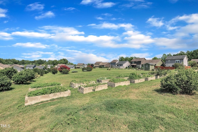 48 Manito Pl, Clayton, NC 27520 - view of green lawn with a vegetable garden and a residential view