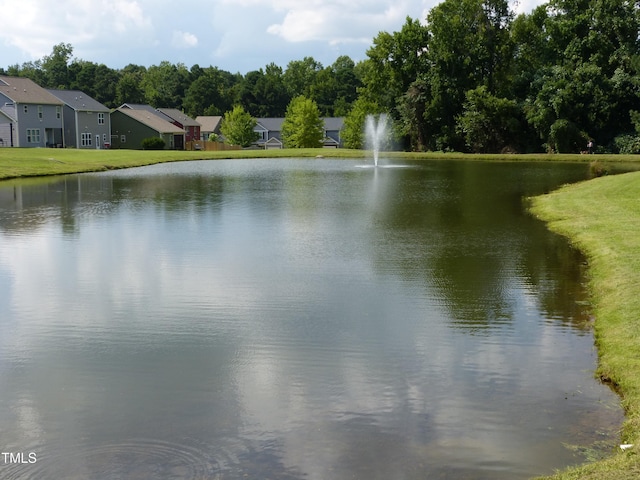 48 Manito Pl, Clayton, NC 27520 - photo 37