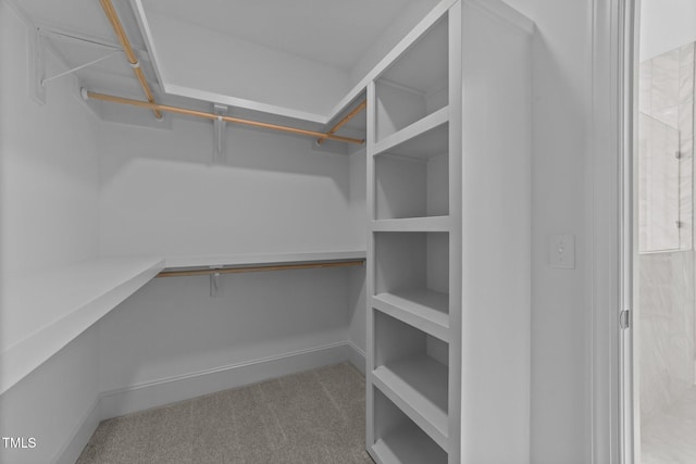 543 Allessandra Dr, Clayton, NC 27527 - walk in closet with carpet floors