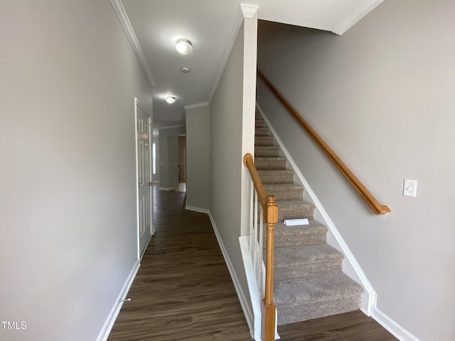 545 Writers Way, Morrisville, NC 27560 - stairs featuring wood finished floors and crown molding