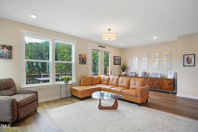 2055 Eva Pearl Dr, Apex, NC 27502 - living room featuring wood finished floors and recessed lighting