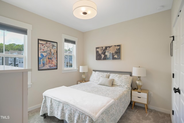 2055 Eva Pearl Dr, Apex, NC 27502 - carpeted bedroom with baseboards