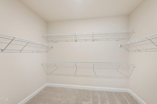 3119 Berwick Dr, Burlington, NC 27215 - photo 16