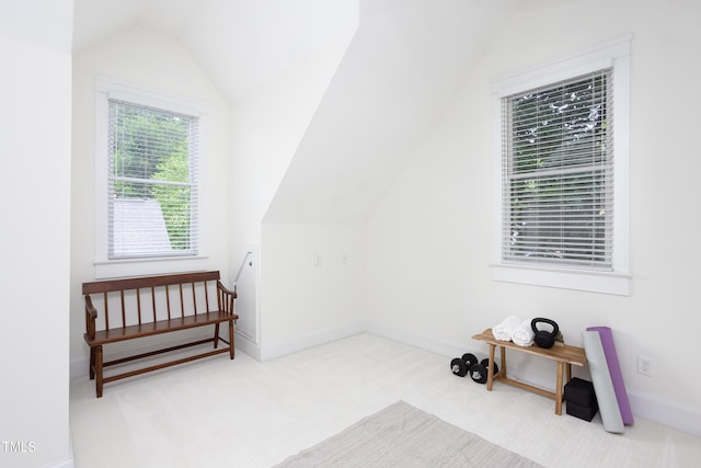 507 Rosengarten Aly, Raleigh, NC 27603 - photo 33