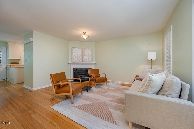 8 Mandy Ct, Durham, NC 27707 - living area with light wood-style floors and a fireplace