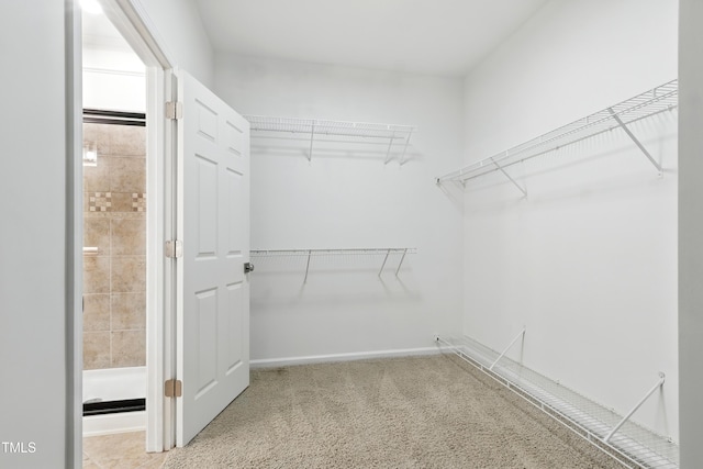 9201 Wooden Rd, Raleigh, NC 27617 - spacious closet with carpet