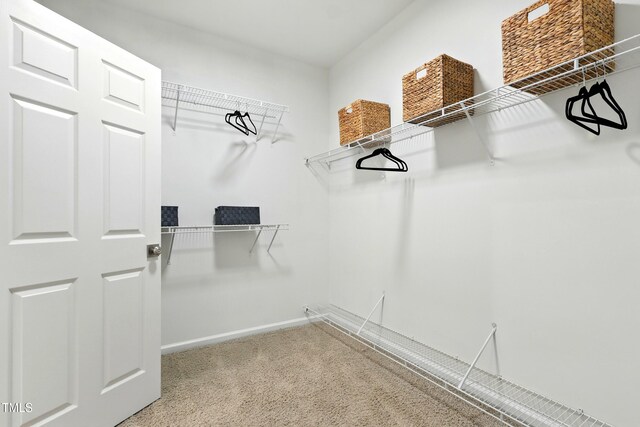 9201 Wooden Rd, Raleigh, NC 27617 - photo 17