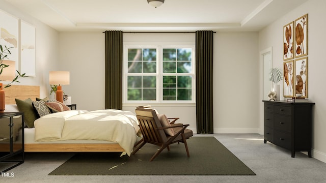 317 Calvander Ln, Apex, NC 27539 - bedroom with a raised ceiling and carpet floors