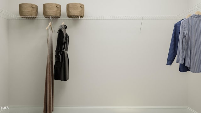 317 Calvander Ln, Apex, NC 27539 - view of walk in closet