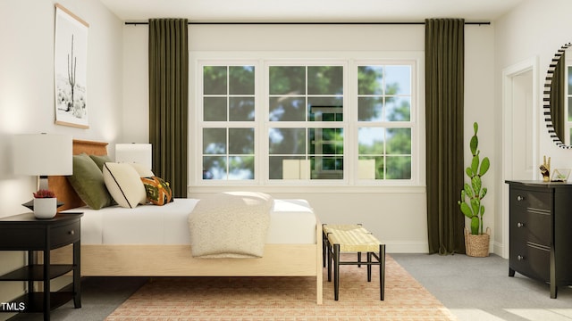 317 Calvander Ln, Apex, NC 27539 - bedroom with carpet floors and multiple windows