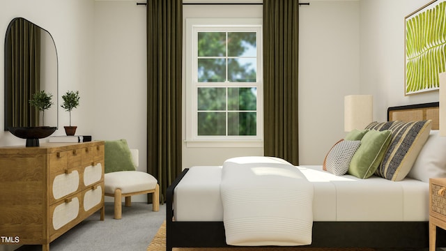 317 Calvander Ln, Apex, NC 27539 - bedroom with carpet floors