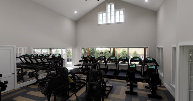 317 Calvander Ln, Apex, NC 27539 - exercise room with high vaulted ceiling and carpet floors