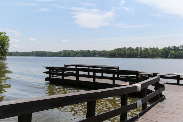 317 Calvander Ln, Apex, NC 27539 - dock area featuring a water view and a wooded view
