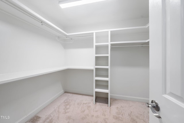 3811 Cottonwood Dr, Durham, NC 27705 - walk in closet featuring carpet floors