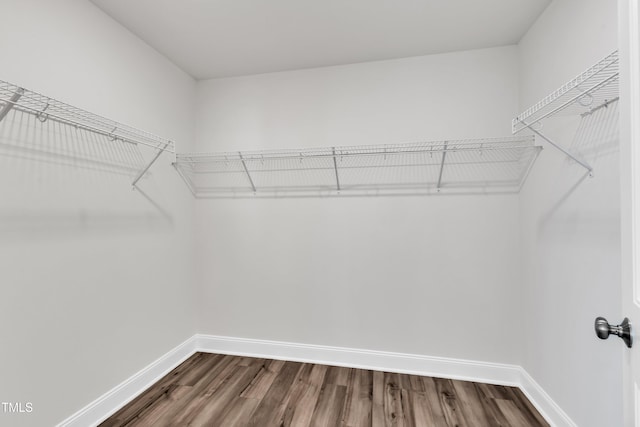 3505 Triad Ct, Raleigh, NC 27604 - walk in closet with dark wood-style flooring