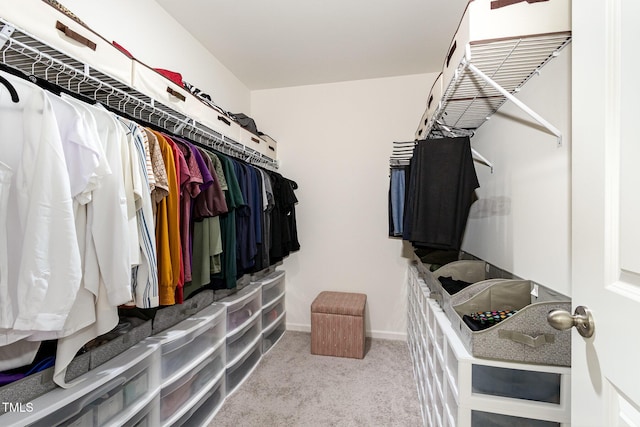 2050 Trailside Dr, Durham, NC 27704 - walk in closet featuring carpet flooring