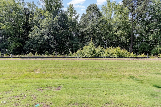 2050 Trailside Dr, Durham, NC 27704 - view of grassy yard
