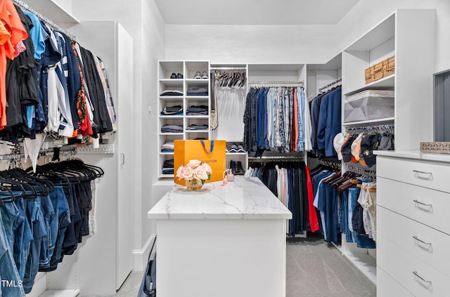 114 Kendleton Pl, Cary, NC 27518 - walk in closet with carpet floors