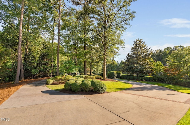 114 Kendleton Pl, Cary, NC 27518 - view of green lawn featuring driveway