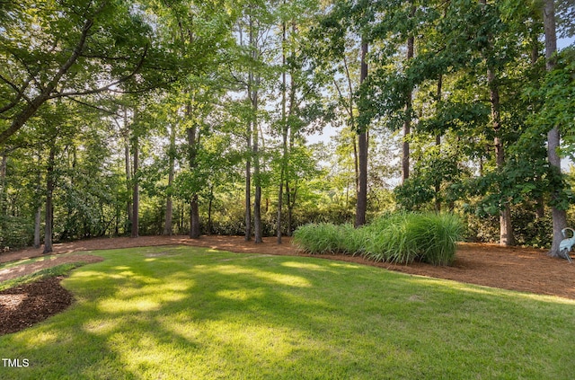 114 Kendleton Pl, Cary, NC 27518 - view of green lawn