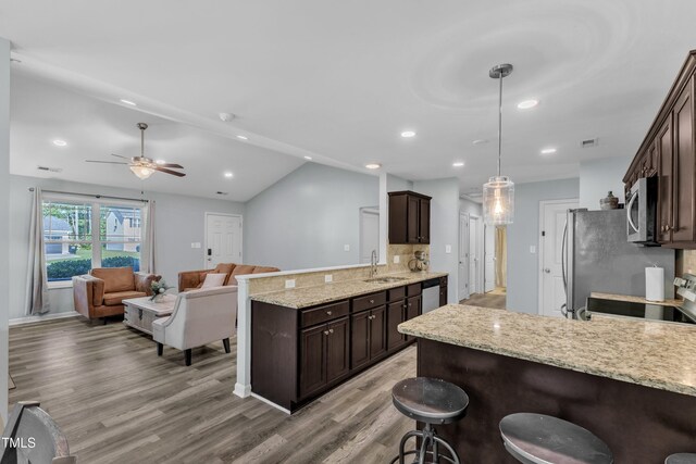 39 All Aboard Cir, Willow Springs, NC 27592 - kitchen with a peninsula, stainless steel appliances, dark brown cabinets, light wood-style floors, and a ceiling fan
