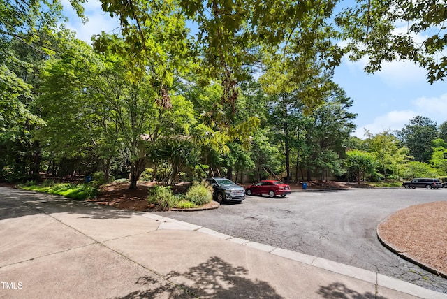 113 Twisted Oak Pl, Durham, NC 27705 - view of road featuring curbs