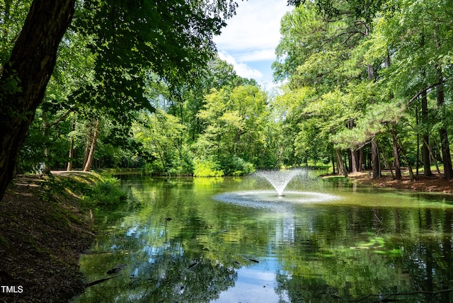 113 Twisted Oak Pl, Durham, NC 27705 - water view with a forest
