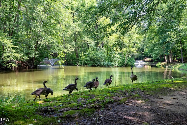 113 Twisted Oak Pl, Durham, NC 27705 - water view with a heavily wooded area
