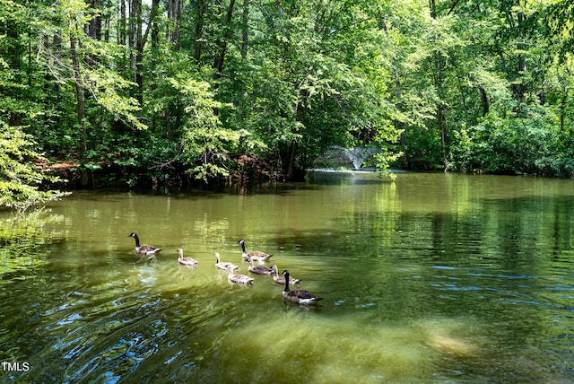 113 Twisted Oak Pl, Durham, NC 27705 - water view with a heavily wooded area