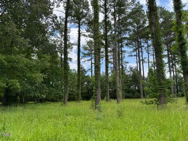 40 Currituck Ct, Oriental, NC 28571