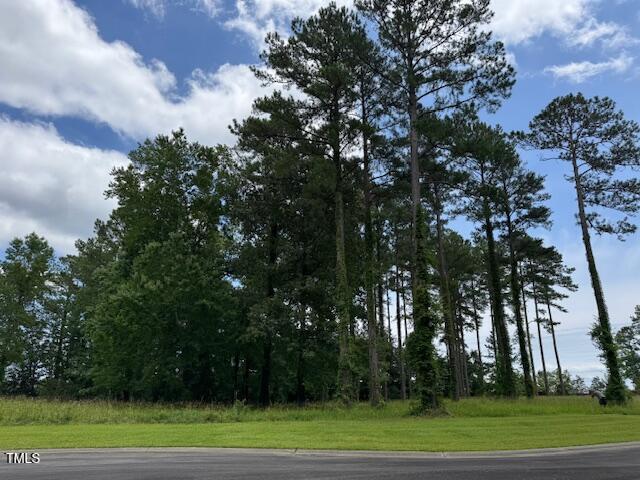 40 Currituck Ct, Oriental, NC 28571