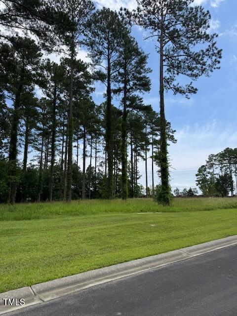 40 Currituck Ct, Oriental, NC 28571