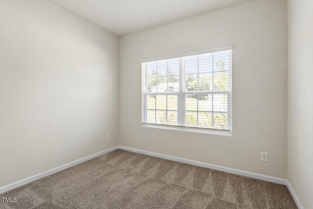 418 Ivy Bank Dr, Angier, NC 27501 - photo 19