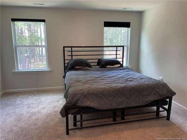 286 Beacon Hill Rd, Lillington, NC 27546 - photo 6