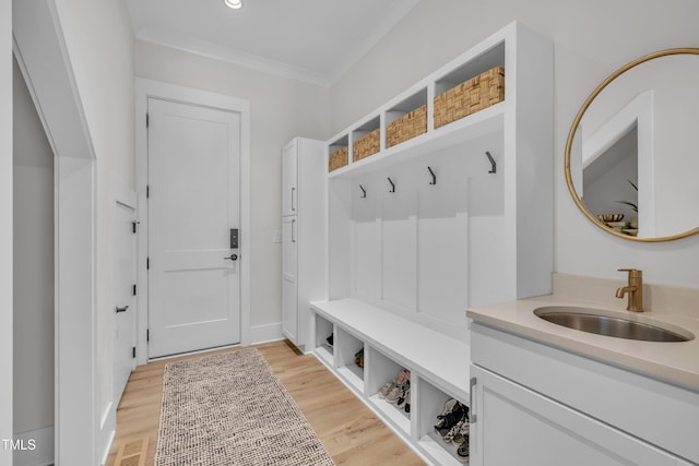800 Wilcox St, Raleigh, NC 27607 - photo 18