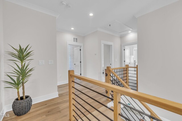 800 Wilcox St, Raleigh, NC 27607 - photo 21