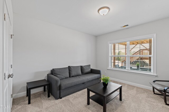 199 High Woods Rdg, Chapel Hill, NC 27517 - photo 43