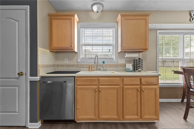 3117 Winesap Rd, Hope Mills, NC 28348 - kitchen with stainless steel dishwasher, light countertops, decorative backsplash, and healthy amount of natural light