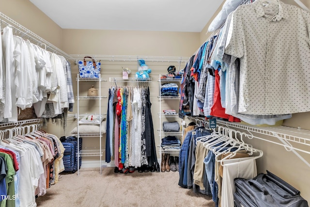 71 Smithsanders Ct, Smithfield, NC 27577 - walk in closet with carpet