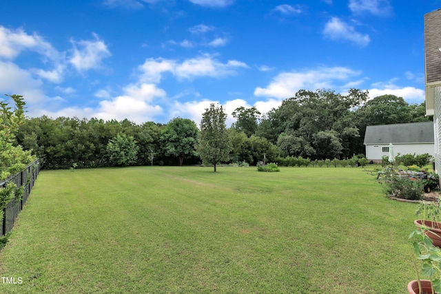 71 Smithsanders Ct, Smithfield, NC 27577 - view of yard