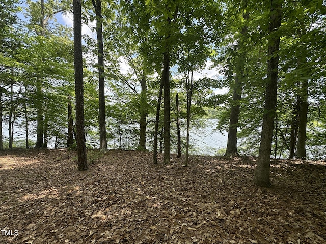 2011 Bowmantown Rd, Roxboro, NC 27574 - water view