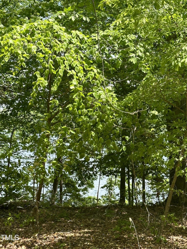 2011 Bowmantown Rd, Roxboro, NC 27574 - view of undeveloped land