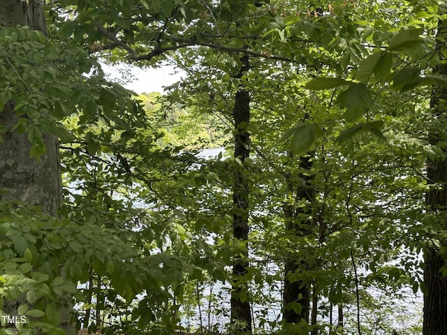 2011 Bowmantown Rd, Roxboro, NC 27574 - view of local wilderness